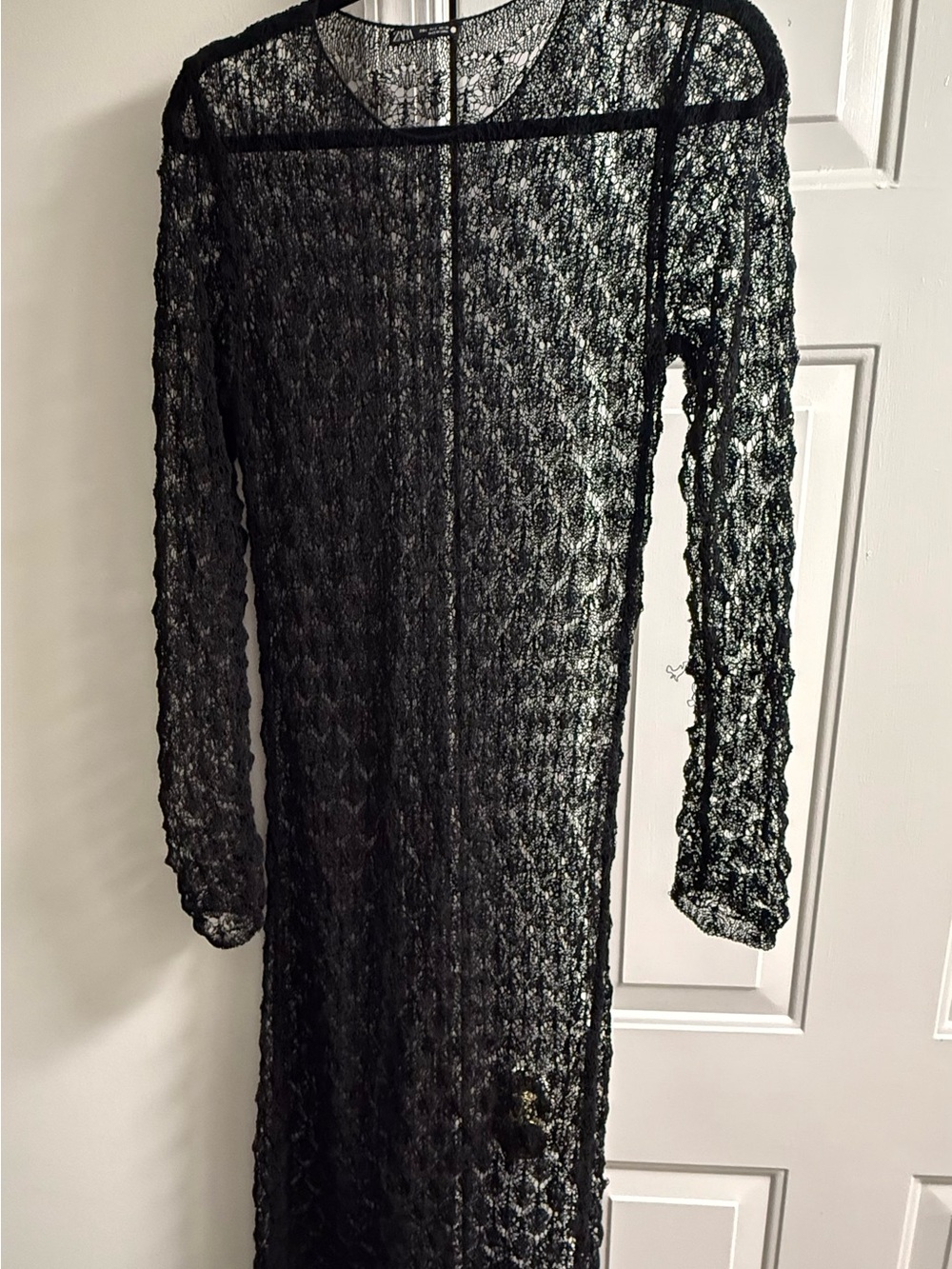 Zara Sheer Black Lace Long-Sleeve Dress - Women